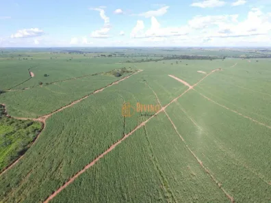 Fazenda/Sítio à venda, 6364600m² no Mirandopolis, Mirandópolis