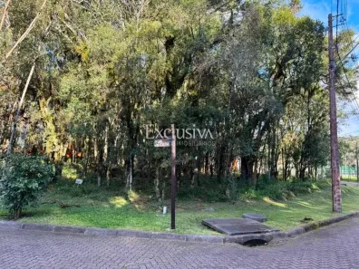 Lote/Terreno à venda, 734m² no Caracol, Canela