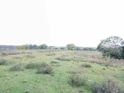 Fazenda/Sítio à venda, 460000m² no São Valentim, Santa Maria