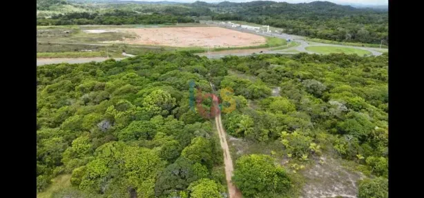 Lote/Terreno à venda, 7200m² no Boa Vista, Ilhéus