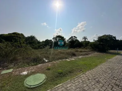Lote/Terreno à venda, 700m² no , Mata de São João