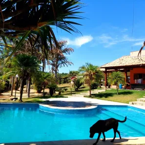 Fazenda/Sítio com 7 Quartos à venda, 463m² no Cercado, Araçoiaba da Serra