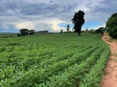 Fazenda/Sítio com 2 Quartos à venda, 90m² no , Angatuba