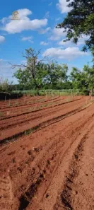 Fazenda/Sítio com 3 Quartos à venda, 120m² no , Nova Aliança