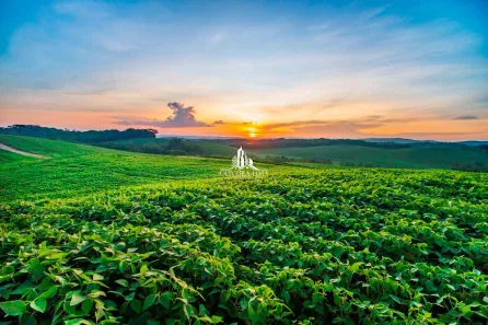 com 4 Quartos à venda, 290m² no , Bocaiúva do Sul