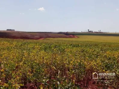 Fazenda/Sítio com 1 Quarto à venda, 151734m² no Paiçandu, Paiçandu
