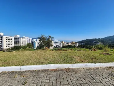 Lote/Terreno à venda, 450m² no Itacorubi, Florianópolis
