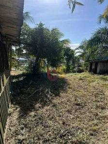 Fazenda/Sítio à venda, 5639m² no Basílio, Ilhéus