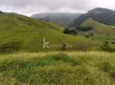 Fazenda/Sítio com 5 Quartos à venda, 90m² no Centro, Lorena