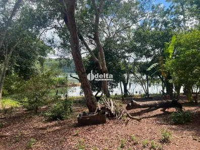 Fazenda/Sítio à venda, 103000m² no Área Rural de Uberlândia, Uberlândia