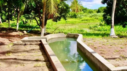 Fazenda/Sítio com 2 Quartos à venda, 50000m² no , Rio do Fogo