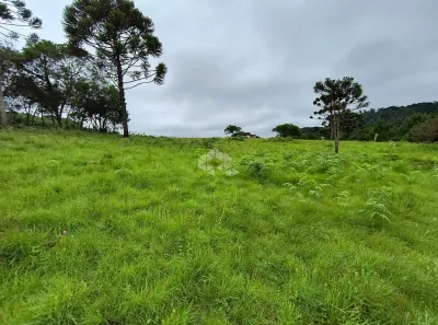 Fazenda/Sítio com 2 Quartos à venda, 80m² no Centro, São Francisco de Paula