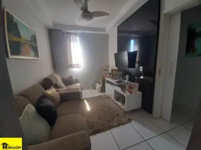 Apartamento com 2 Quartos à venda, 60m² no Jardim Bela Vista, São José do Rio Preto