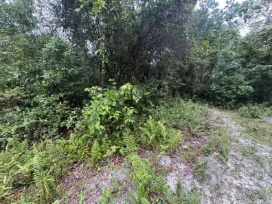 Lote/Terreno à venda, 182m² no Gaivota (Interior), Itanhaém