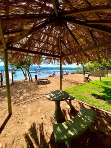 Fazenda/Sítio com 9 Quartos à venda, 650m² no , Rifaina