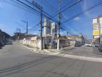 Lote/Terreno à venda, 350m² no Vila Palmeiras, São Paulo