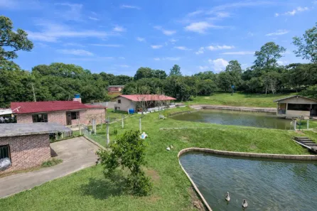 Fazenda/Sítio à venda, 6142m² no Fiuza, Viamão