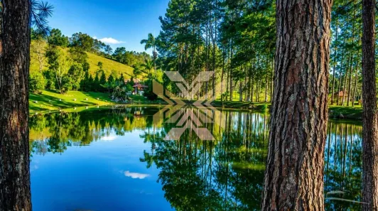Fazenda/Sítio com 4 Quartos à venda, 1000m² no Pindorama, Mogi das Cruzes