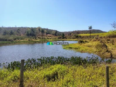 Fazenda/Sítio com 1 Quarto à venda, 128m² no , Fortuna de Minas