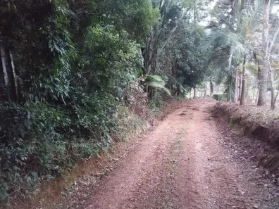 Fazenda/Sítio com 2 Quartos à venda, 110000m² no Centro, Capão Bonito