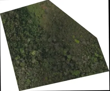 Lote/Terreno à venda, 15726m² no Fazenda Sossego (São Francisco), Cabreúva