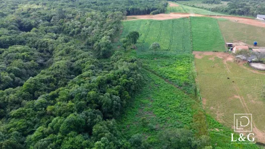 Fazenda/Sítio à venda, 20000m² no , Campo Alegre