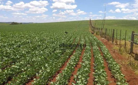 Fazenda/Sítio à venda, 1669800m² no Jardim Monte Santo, Itapetininga