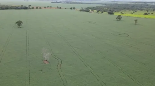 Fazenda/Sítio com 3 Quartos à venda, 100m² no Área Rural de Arenópolis, Arenópolis
