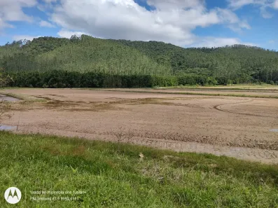 Fazenda/Sítio à venda, 1250000m² no Escalvados, Navegantes