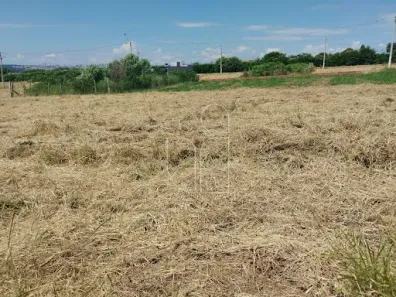 Lote/Terreno à venda, 200m² no Antenor Barion, Marília