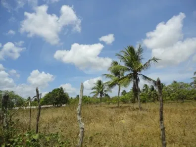 Lote/Terreno à venda, 10000m² no Jardim Planalto, Parnamirim