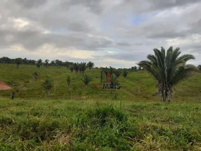 Fazenda/Sítio com 1 Quarto à venda, 822800m² no , Machadinho D'Oeste
