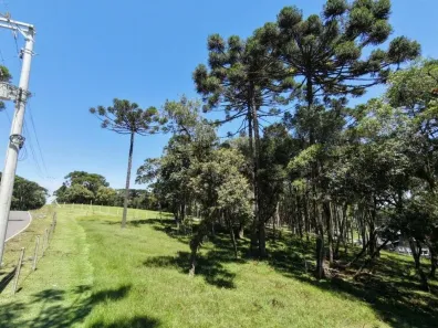 Fazenda/Sítio à venda, 20457m² no Bateias de Cima, Campo Alegre