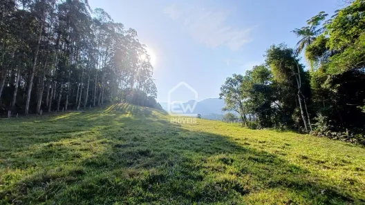 Galpão/Depósito/Armazém com 1 Quarto à venda, 23868m² no DIVINÉIA, Rio dos Cedros