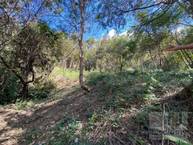 Lote/Terreno à venda, 2767m² no Vila Velha, Santana de Parnaíba