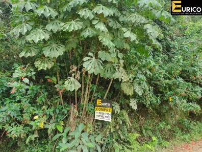 Lote/Terreno à venda, 5561m² no Parque Valinhos, Valinhos