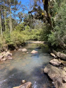 Fazenda/Sítio com 1 Quarto à venda, 149000m² no , Urubici