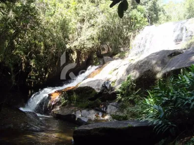 Fazenda/Sítio com 3 Quartos à venda, 600m² no , Paraibuna