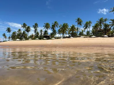 Lote/Terreno à venda, 498m² no , Mata de São João
