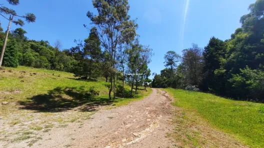 Lote/Terreno à venda, 14212m² no Carazal, Gramado