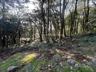 Lote/Terreno à venda, 783m² no , Canela