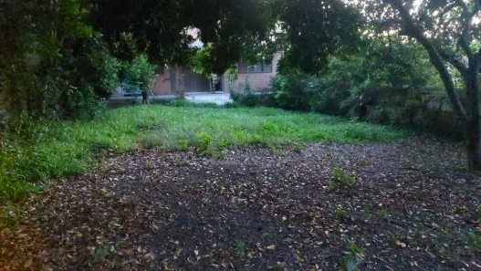 Casa com 2 Quartos para alugar, 140m² no São Lucas, Viamão