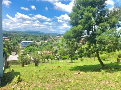 Lote/Terreno à venda, 1110m² no , Nova Petrópolis