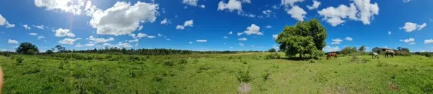 Fazenda/Sítio com 3 Quartos à venda, 2800000m² no , Saquarema
