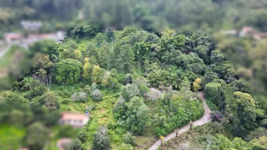 Lote/Terreno à venda, 63000m² no Cascatinha, Nova Friburgo