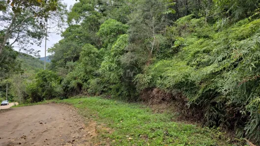 Lote/Terreno à venda, 5017m² no Barra, Balneário Camboriú