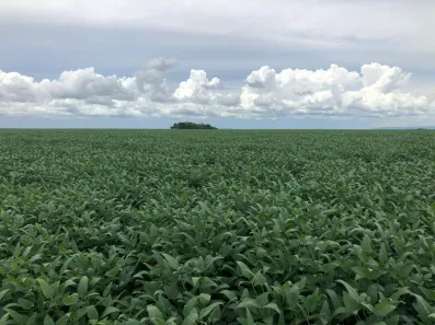 Fazenda/Sítio com 3 Quartos à venda, 12700m² no Nova Conquista, Paragominas