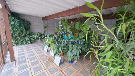 Casa com 3 Quartos para alugar, 150m² no Planalto Paulista, São Paulo