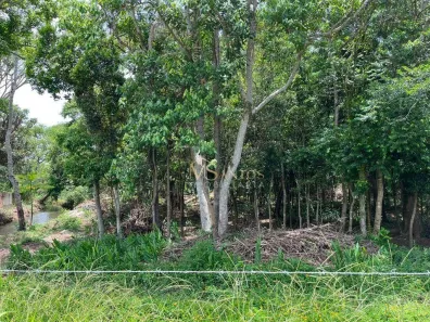 Lote/Terreno à venda, 6394m² no Ratones, Florianópolis