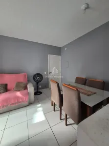 Apartamento com 2 Quartos à venda, 47m² no Jardim Novo Maracanã, Campinas